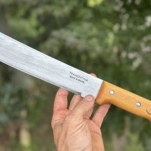 The Machetula