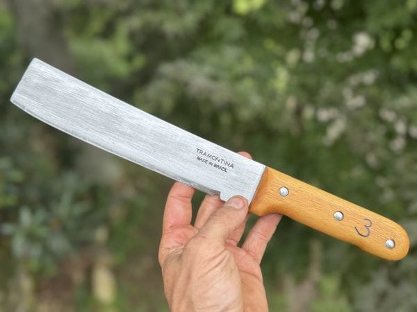 The Machetula